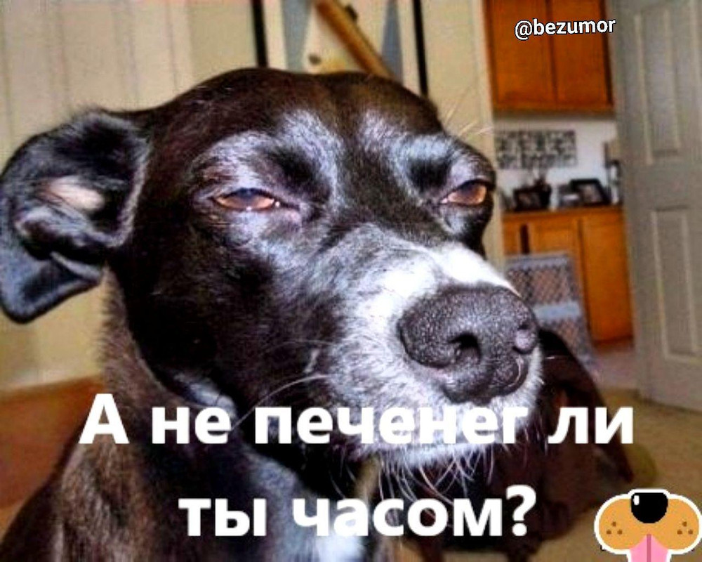 Мем подозревака