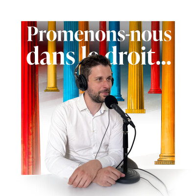 Cover du podcast Promenons-nous dans le droit