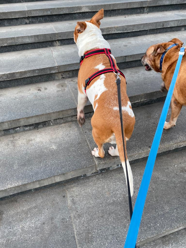 8BE7A67E-EDBB-4355-B6DF-9F9D5D16683E