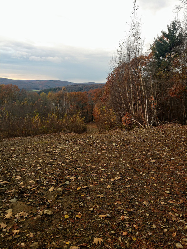 IMG_20211104_172346251~2