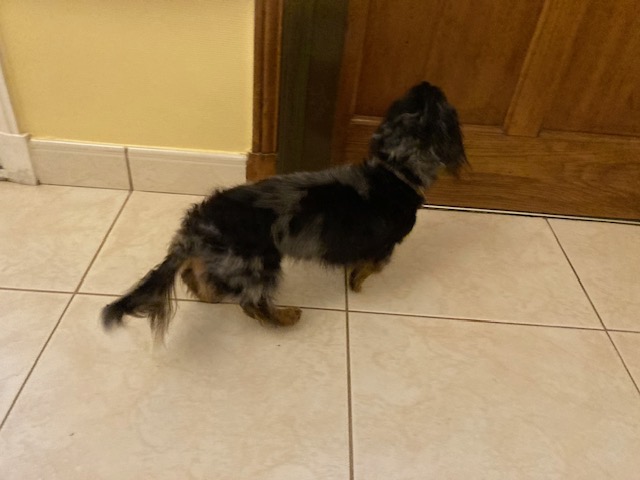 [Image: IMG-3896.jpg]