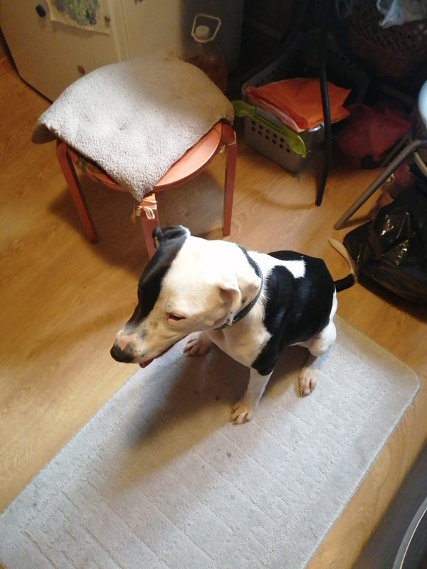 36CBE073-6D2D-4A01-A8C2-AEFDE52BF0A6