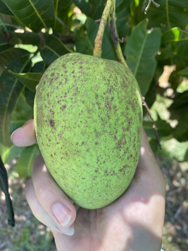 E3A63E71-5CB2-48A4-B620-02421E4F69F2