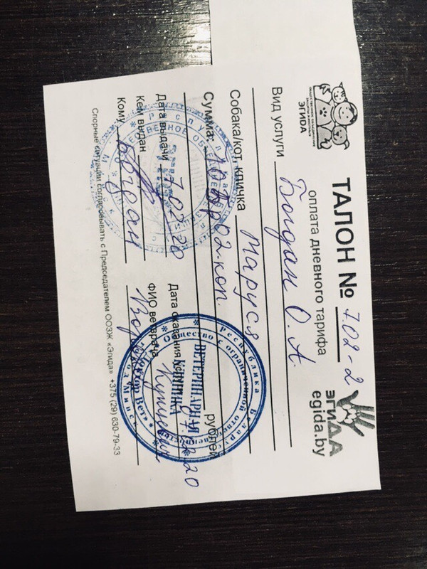 Маруся талон1