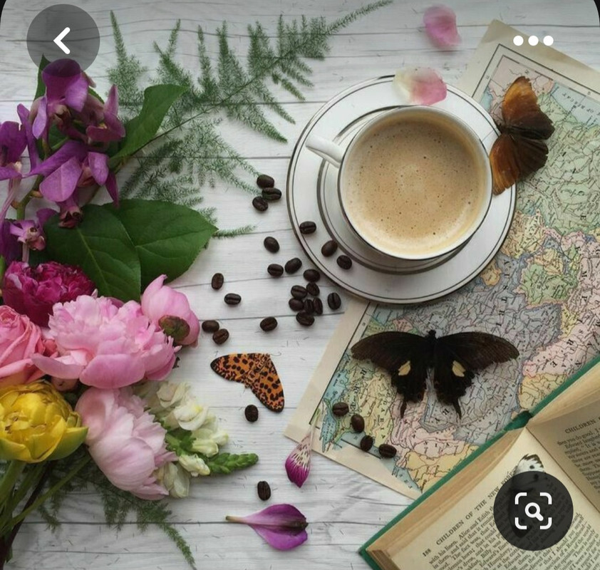 Screenshot_20230603_223226_Pinterest