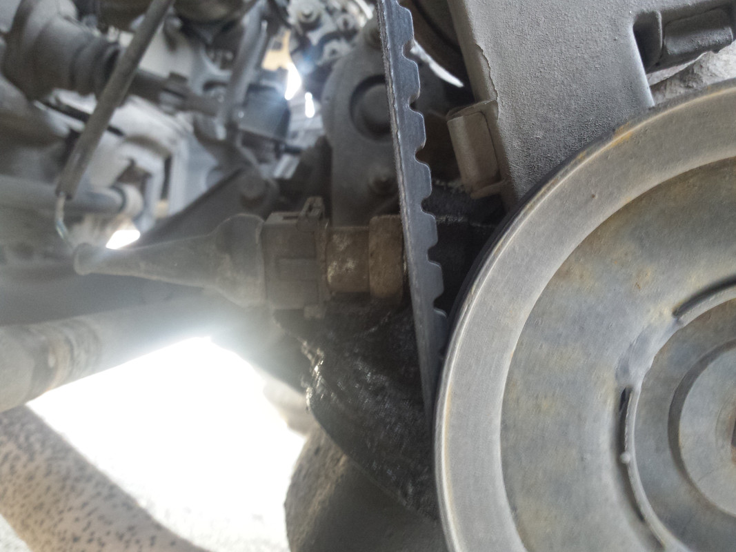 PHOTO_20190315_154234