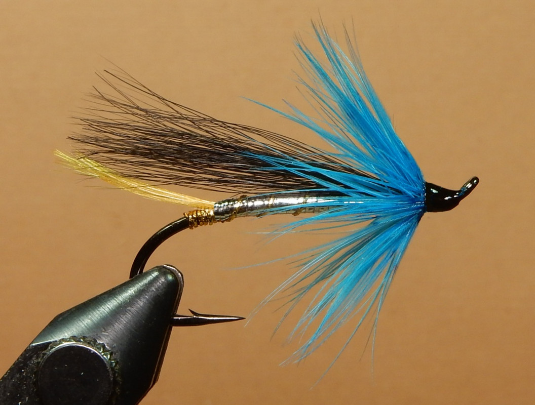 Black-Blue-1080.jpg