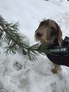 [Image: BF5261-CA-A913-41-D7-8557-129047-C1-F7-F2.jpg]