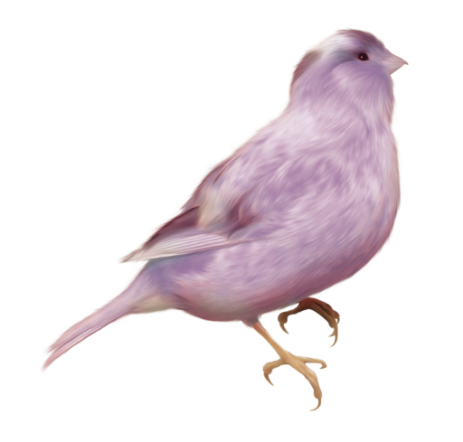 WINTER LOVE_DBJ-ELEM (40)