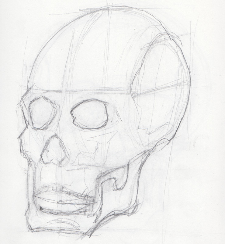 [Image: Skull-3-Quarters-1.jpg]