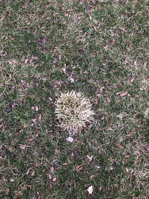 B9BAF4BE-FAFE-4201-8BBB-80DE1ED5BF54