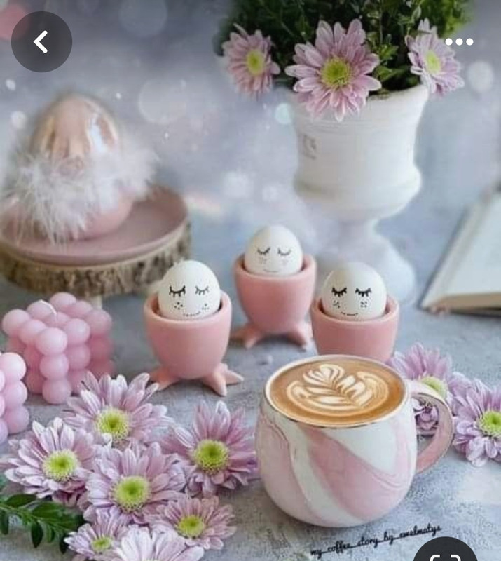 Screenshot_20240428_173802_Pinterest