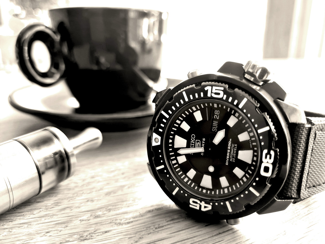 Frankenmonster_155609S