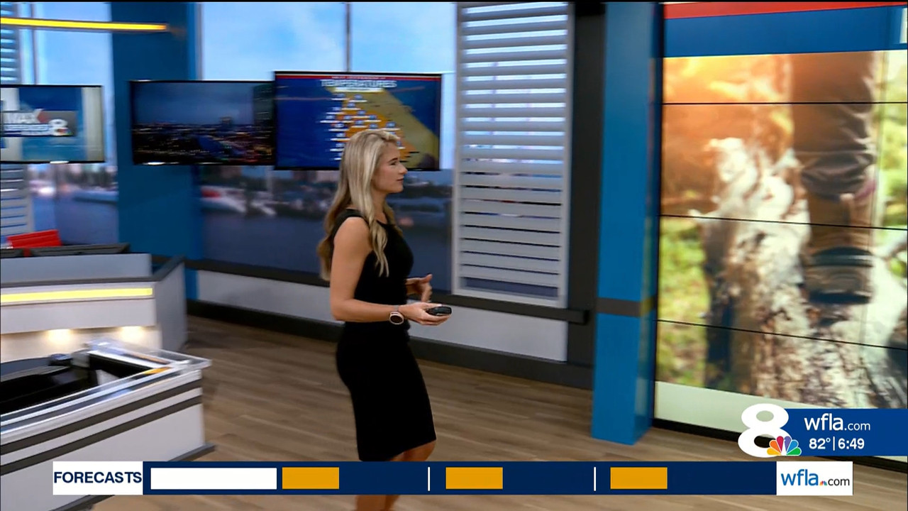 NewsChannel 8 Today at 6a_20230901_11001200.ts_snapshot_00.50.41.365