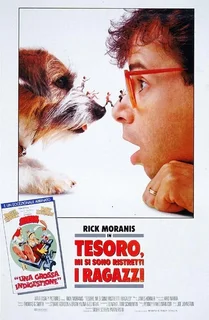 Tesoro, mi si sono ristretti i ragazzi (1990).mkv BDRip 1080p x264 AC3 iTA-ENG DTS ENG