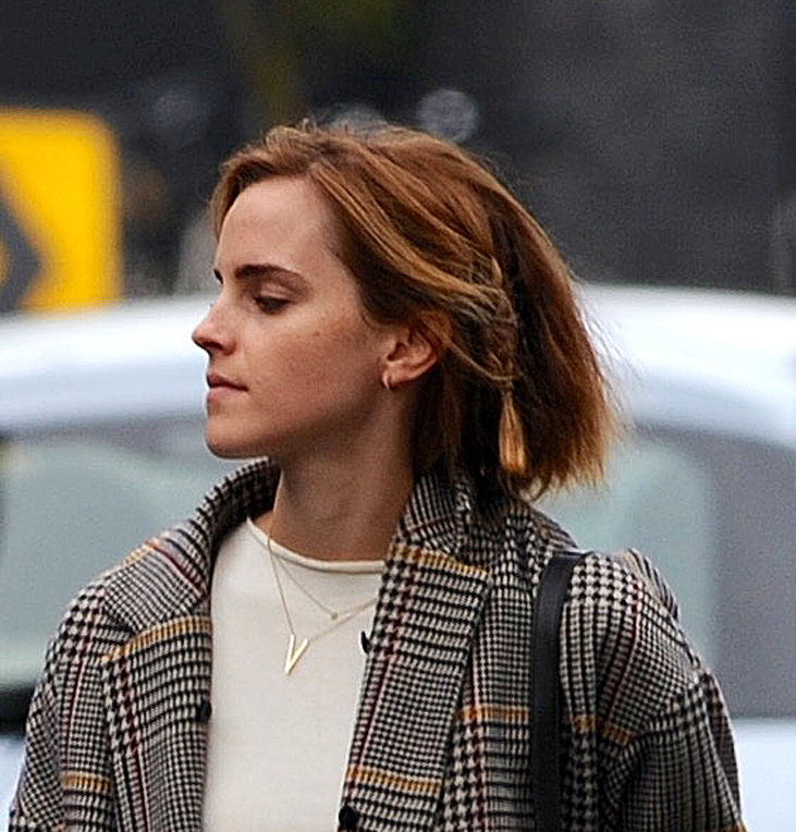 watsonuncensored.blogspot.com (12)