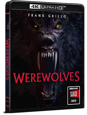Werewolves (2024) UHDRip 2160p x265 HDR10 HEVC E-AC3+AC3 ITA DTS+AC3 ENG