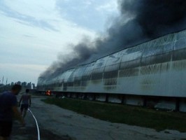 Овостар заявил, что поголовье птицы в пожаре не пострадало