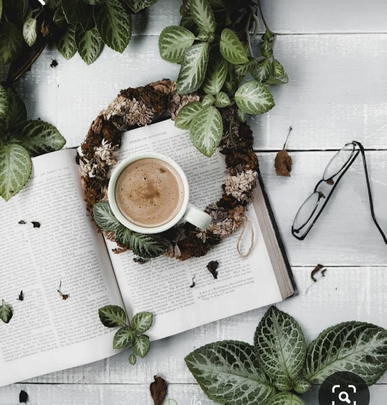 Screenshot_20230426_221848_Pinterest