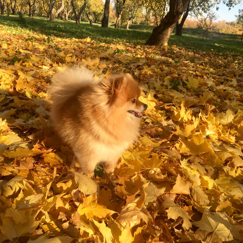 3E79327C-02B0-4821-8A93-4EA8FAB2DDDA