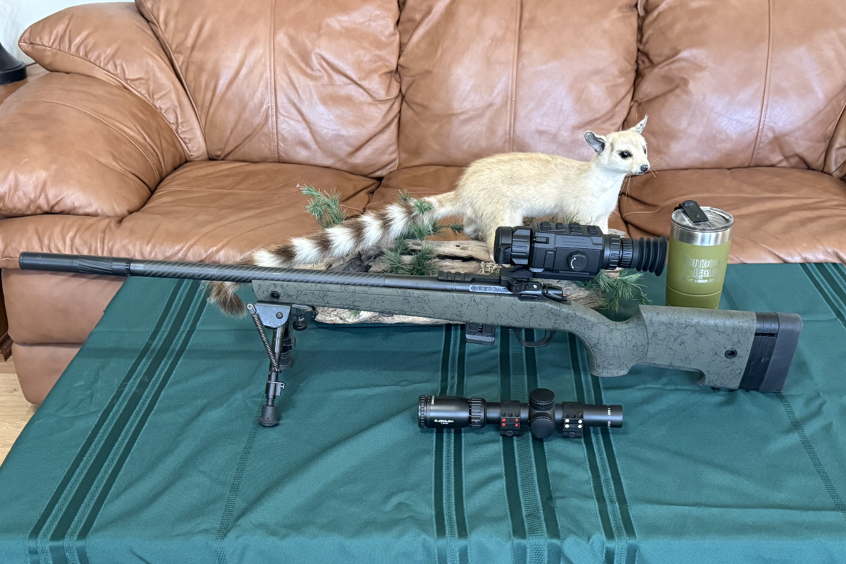 Screen Shot 2025-03-25 at 3.45.52 PM