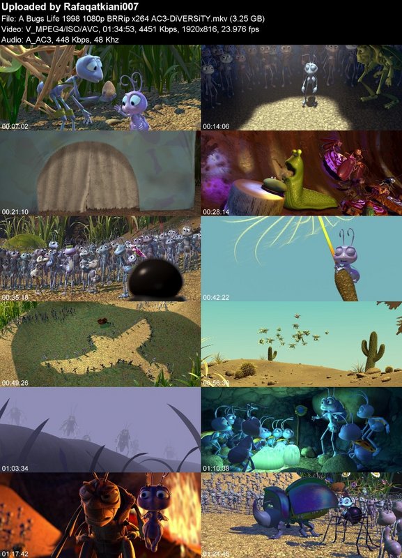 A Bugs Life 1998 1080p BRRip x264 AC3-DiVERSiTY