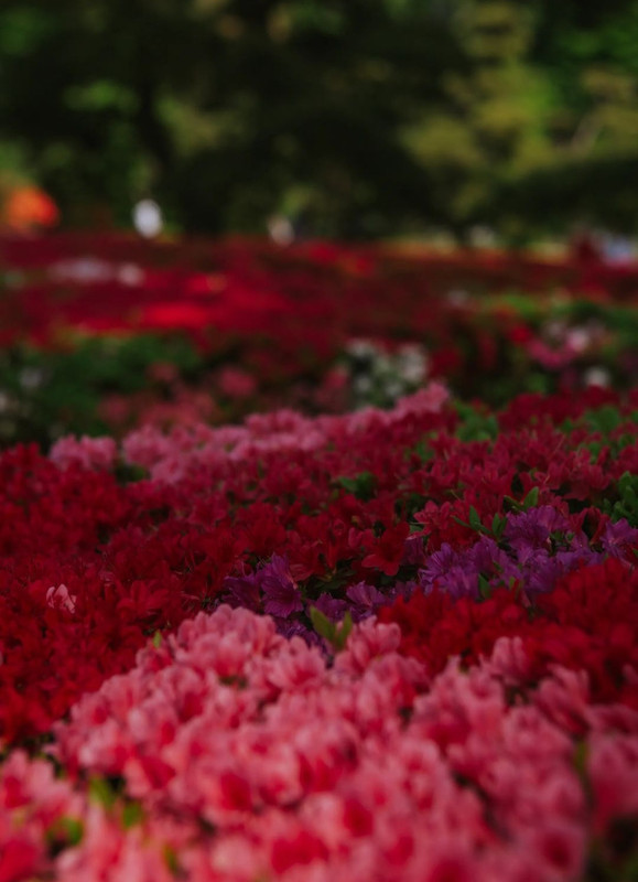 Screenshot_20240426_082822_Threads