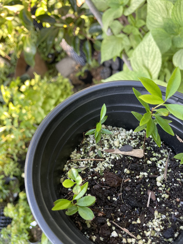 1AF09AB6-6714-42D6-9BA6-4F49DEA28170