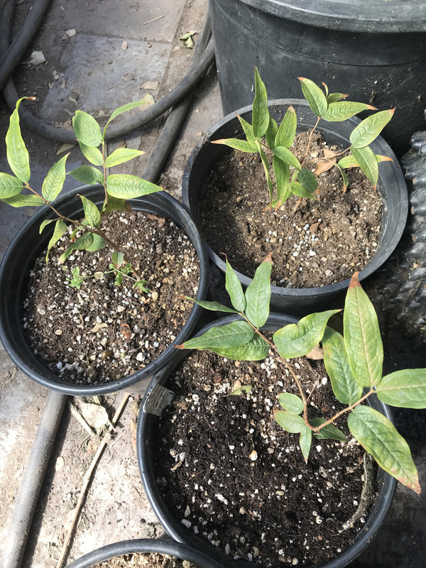 13978951-D0B4-4342-AEF0-64FE99E31175