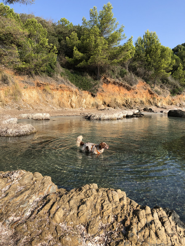 04E3B4D6-27B9-4BFA-99AA-BF1E5534D6D2