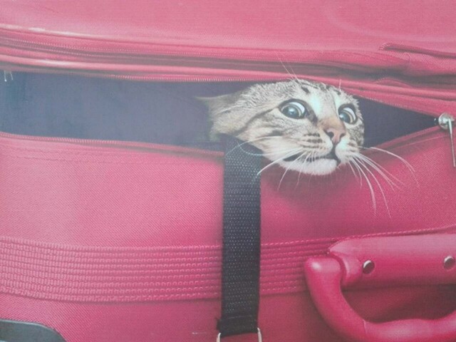 picdump-kw48-2025-014.jpg