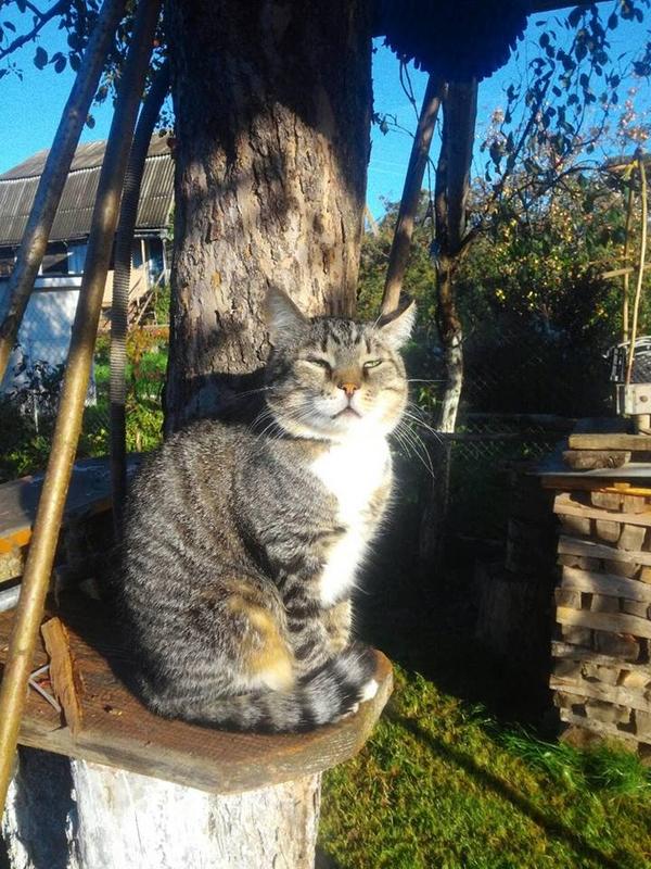 Василий - дачник3