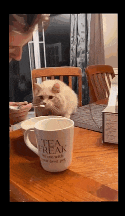 daily-gifdump-3383-21.gif