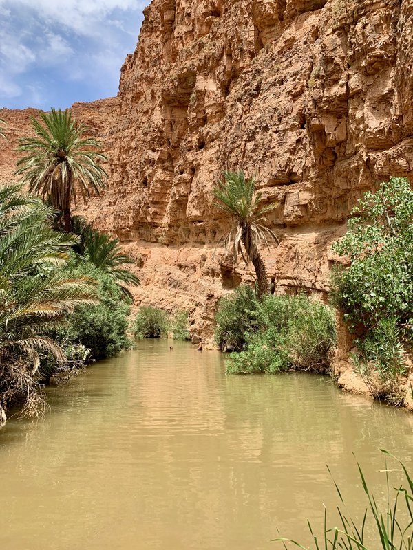 Sur de Marruecos: oasis, touaregs y herencia española - Blogs de Marruecos - Tafraoute y alrededores. Ruta hasta Sidi Ifni (8)