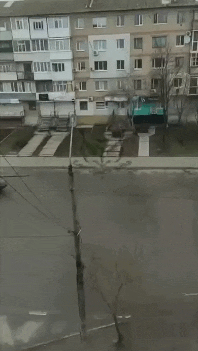 https://i.postimg.cc/cCzLXqxX/video-2026-05-23-01-20-33-(1).gif