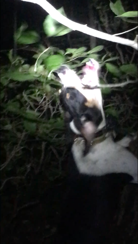 8907F498-436B-47D0-AC41-CF2F3B200B5C