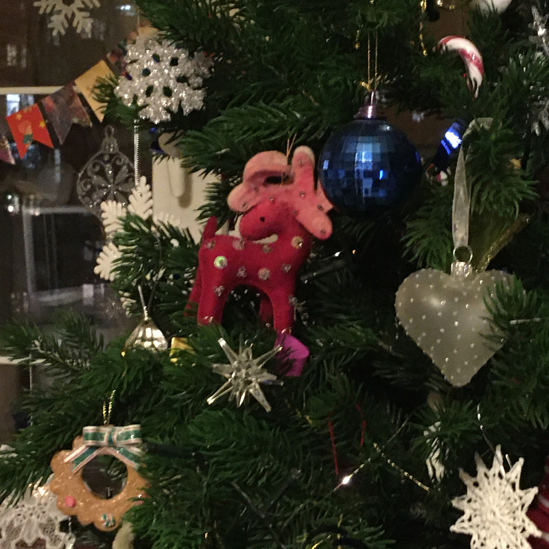 Разное Тимура Фрунзе, 20 Анина и посленовогоднее домашнее 021