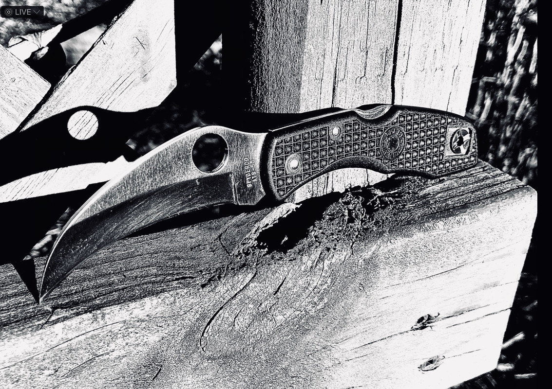 ATS-55 SPYDERCO C08SBK MERLIN - Spyderco Forums