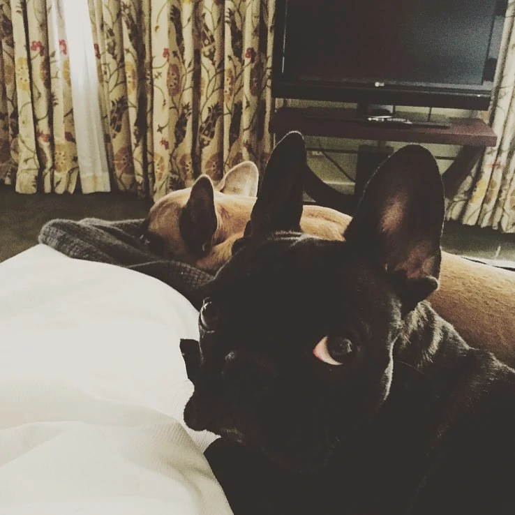 9-30-15-Instagram-005.webp