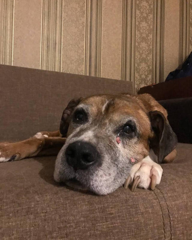 C8EA3755-5E27-46E3-A6F0-81D543F0D9BD