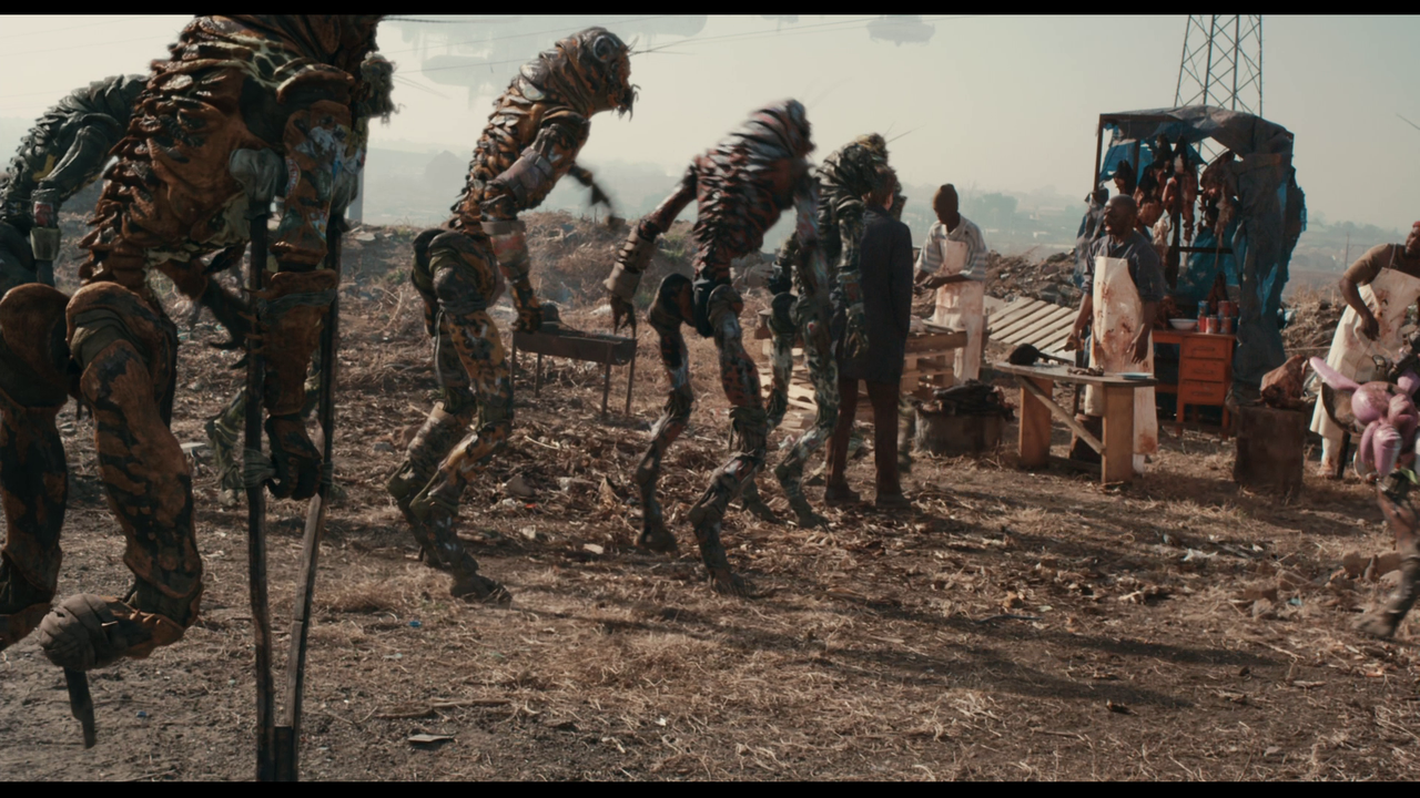 vlcsnap-2024-02-11-18h06m58s431