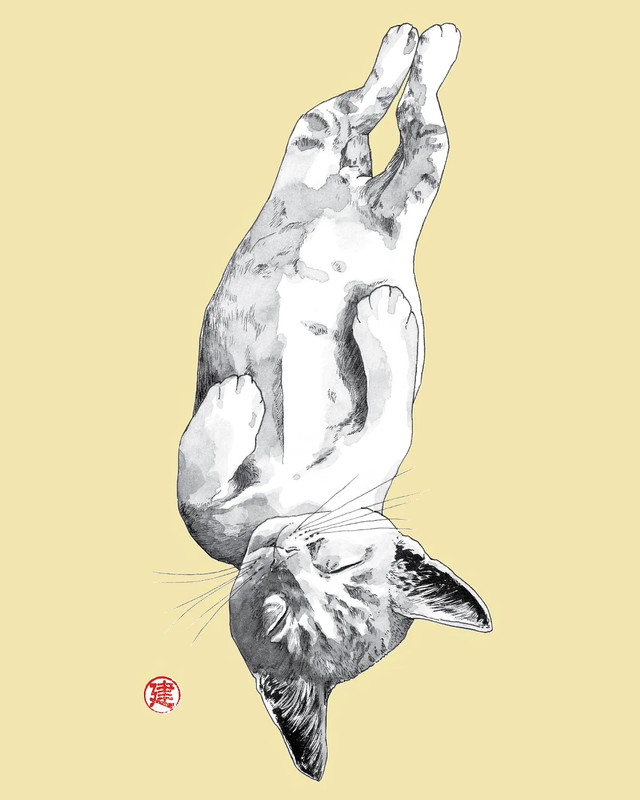 14