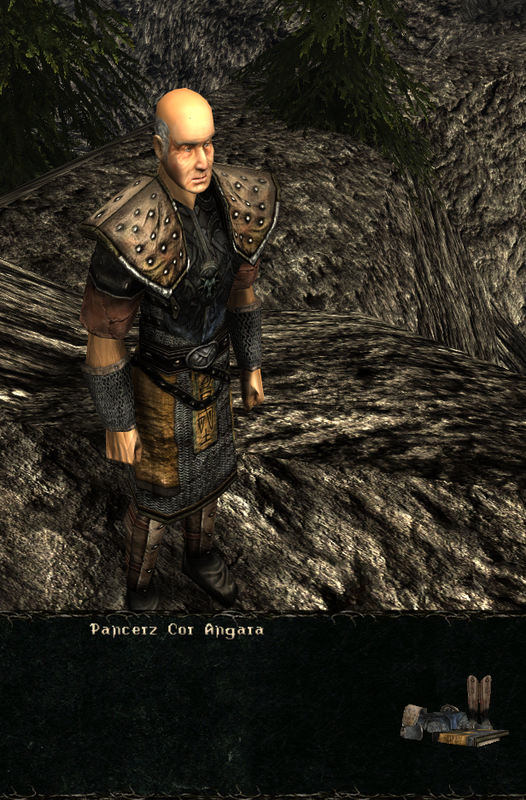 pancerze i ubrania (11)