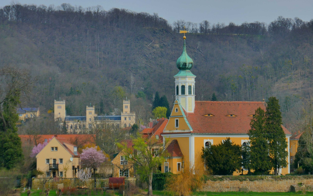 P1180735.jpg