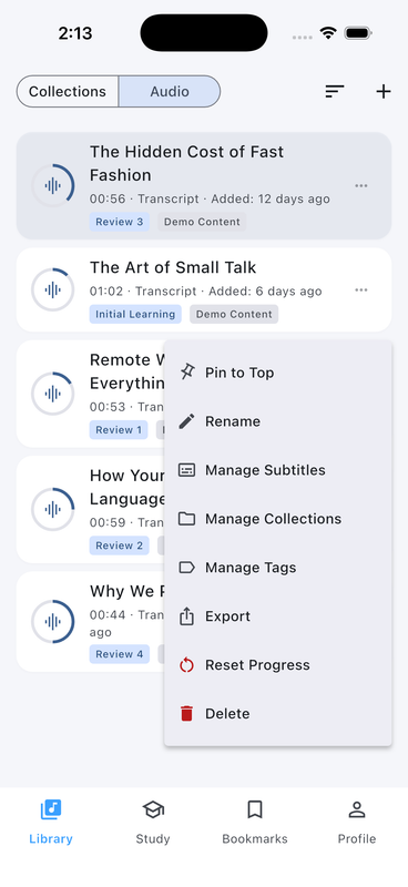 Echo Loop audio library