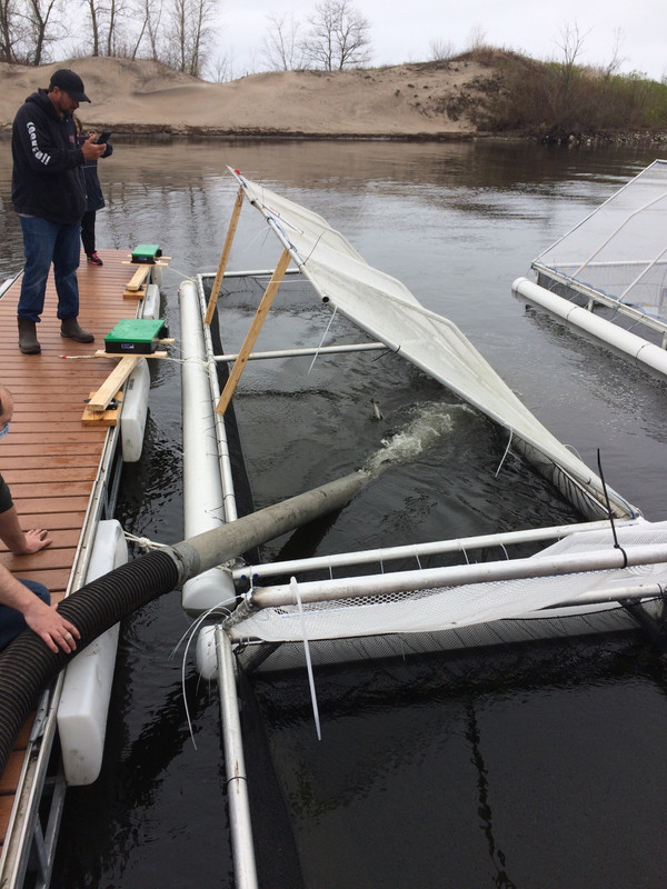 2F3DF447-7182-421D-99CB-8E4BFF08ACB8