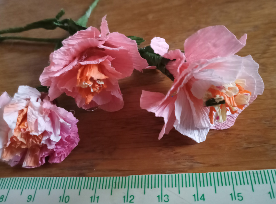 IMG_20240306_170341_1