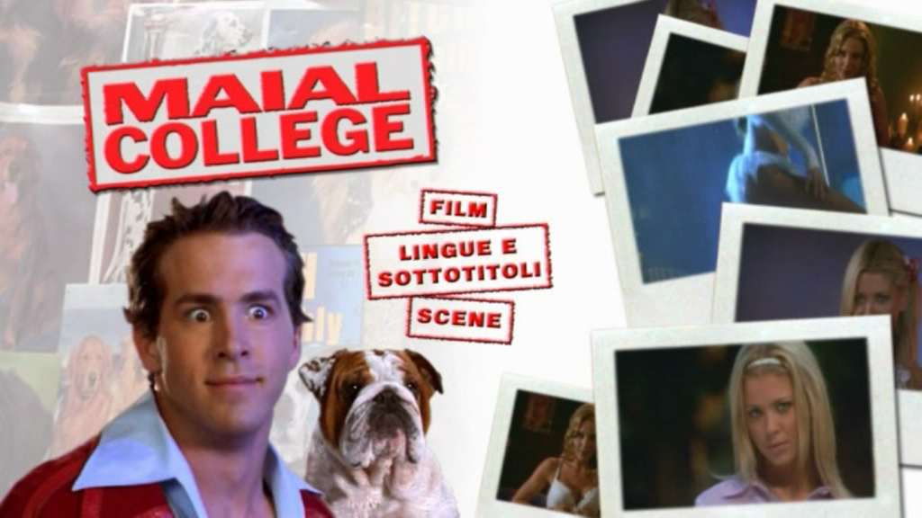 vlcsnap-2019-03-25-20h02m58s635