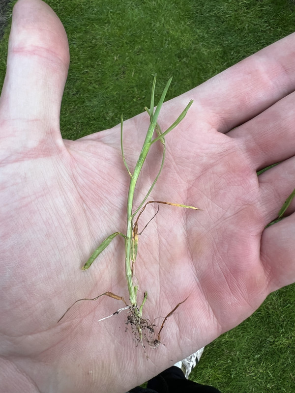 4A2F53FB-0469-4C50-AD5B-E5D169015F90