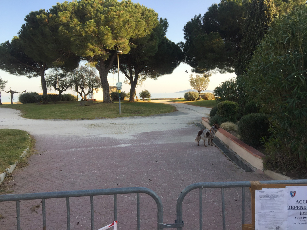 D94E66CD-E469-486B-BE61-8B252055ED49